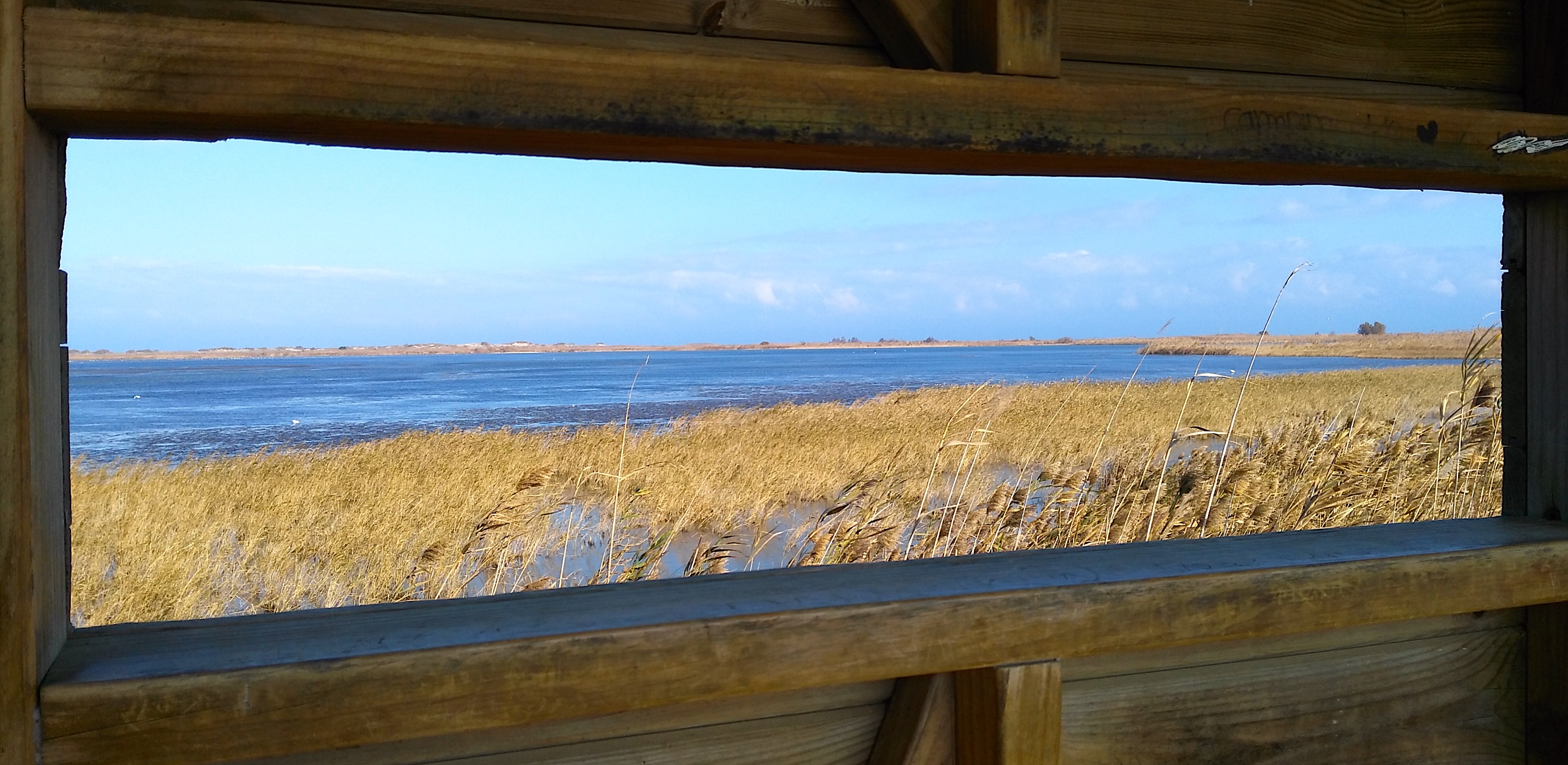 Descubre el Parque Natural del Delta d’ Ebre