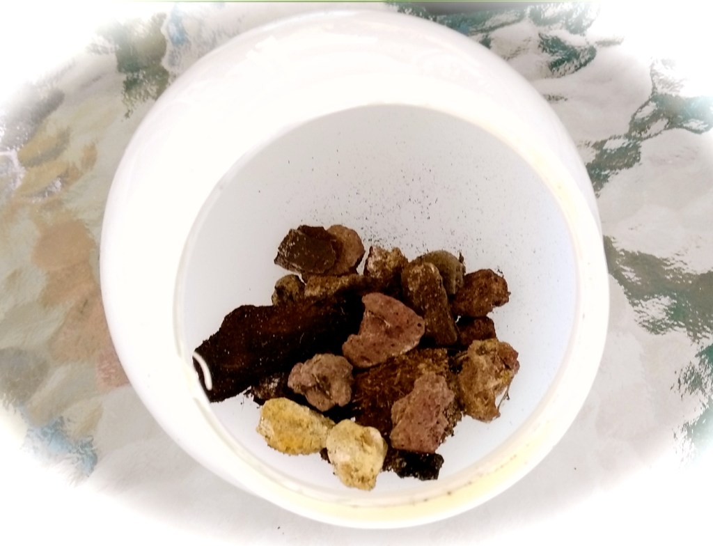 IMG_20160808_130232 2