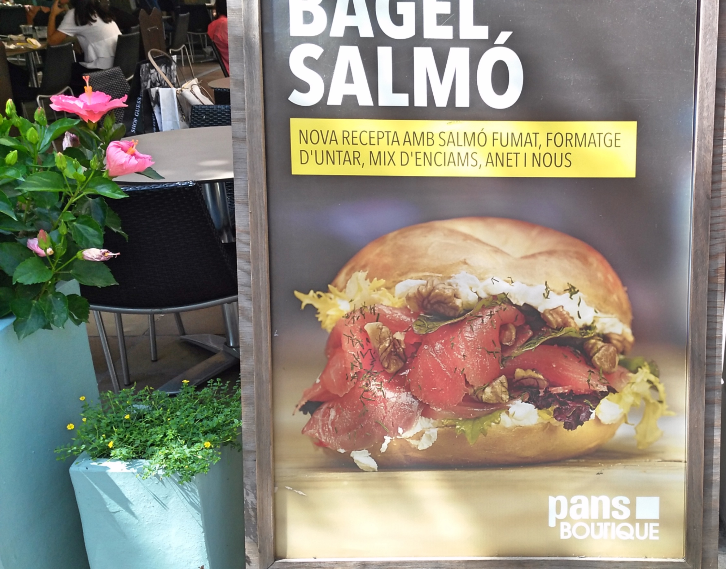 IMG_20170827_143926_Fotor