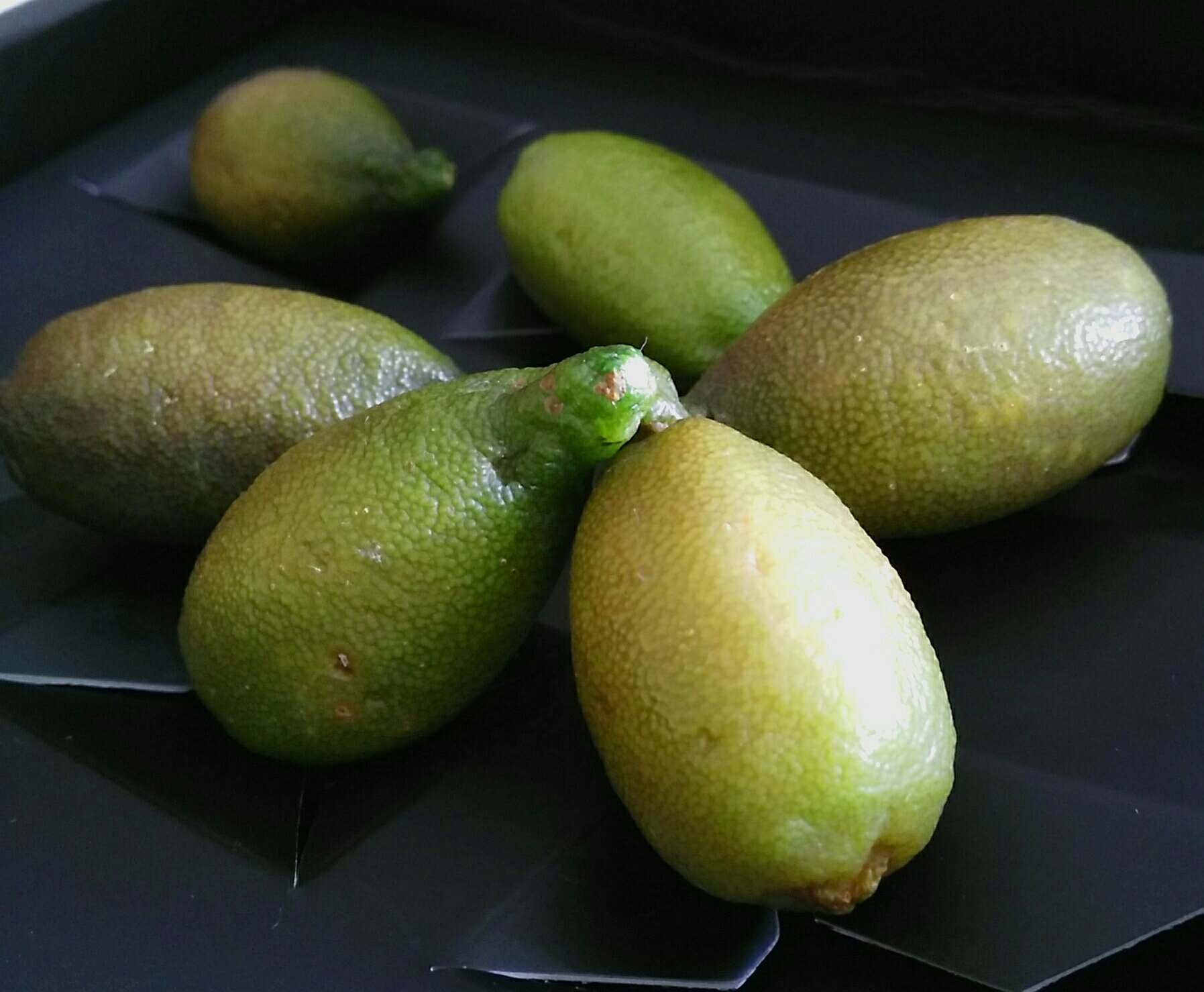 Caviar citrus, el caviar vegetal