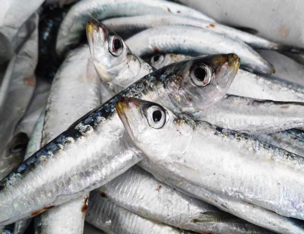 IMG_20170719_131300_813