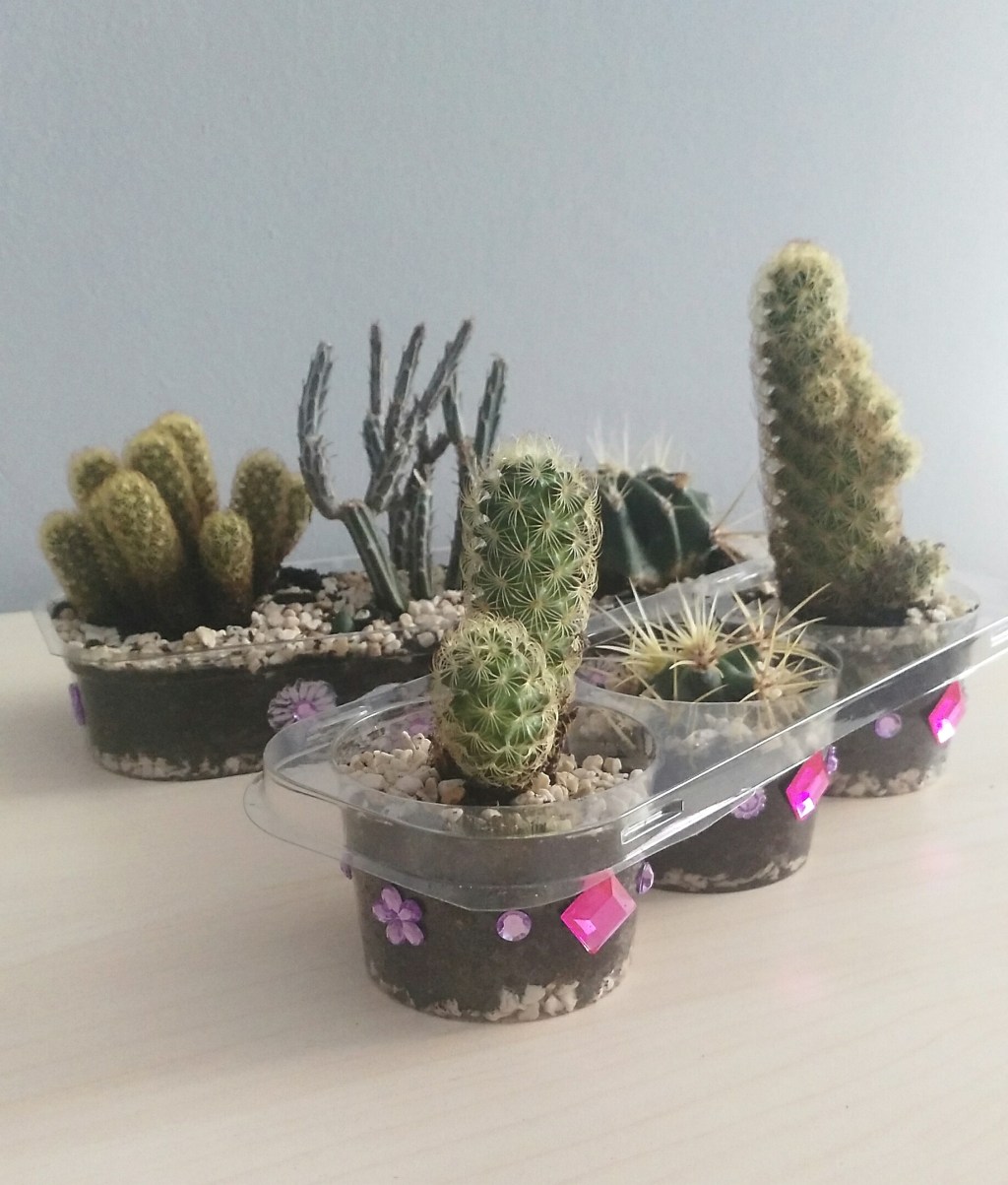 Maceta de cactus, reciclando&nbsp;plásticos