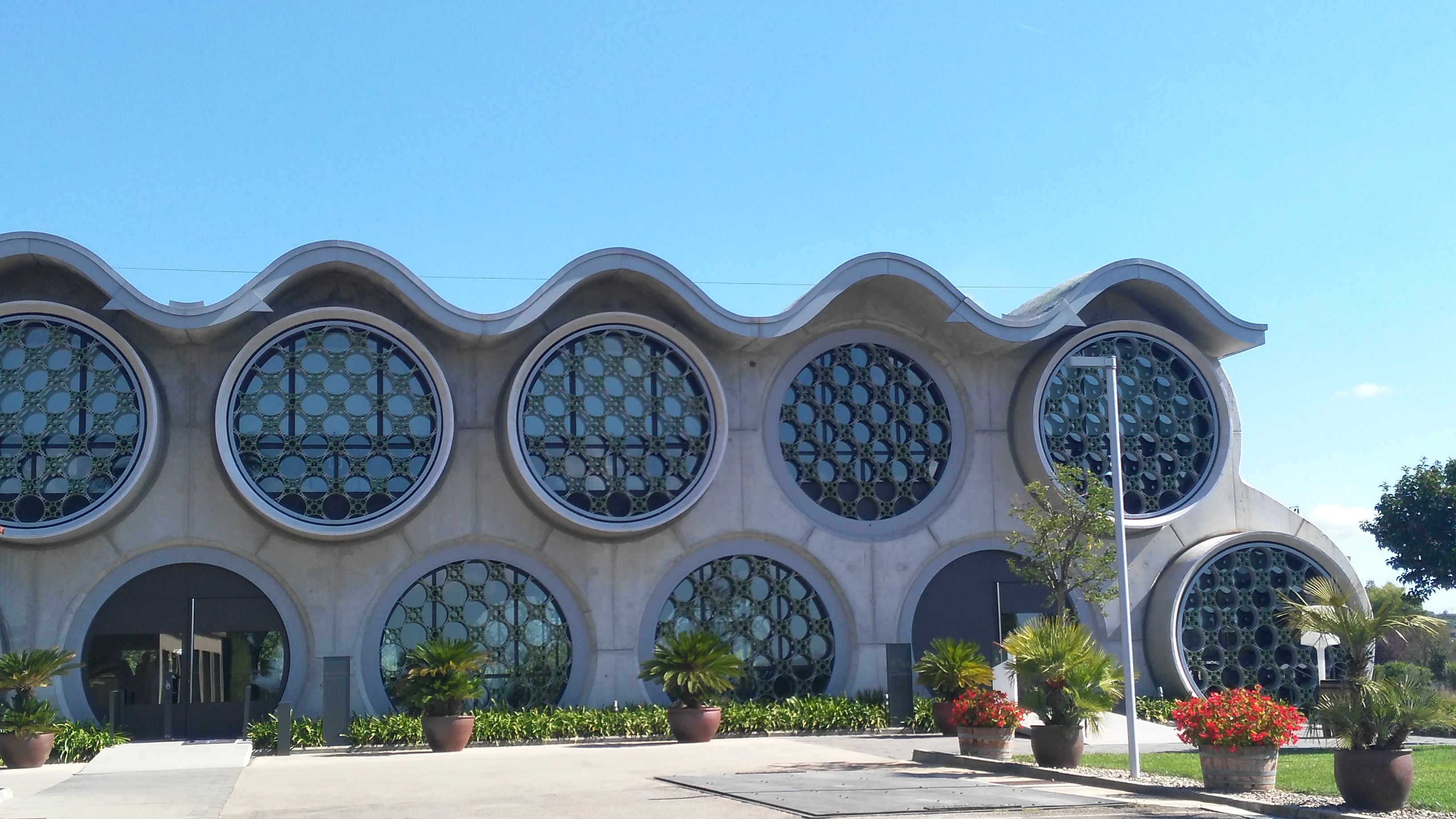 Descubre la Experiencia en Mastinell: Cava y Gastronomía